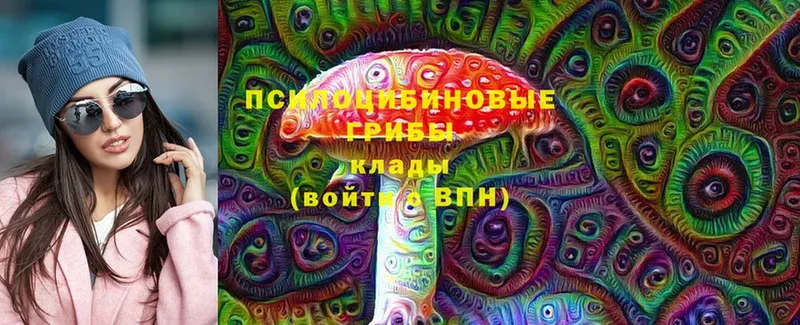 МЕГА маркетплейс  Александровск-Сахалинский  Псилоцибиновые грибы MAGIC MUSHROOMS  закладка 